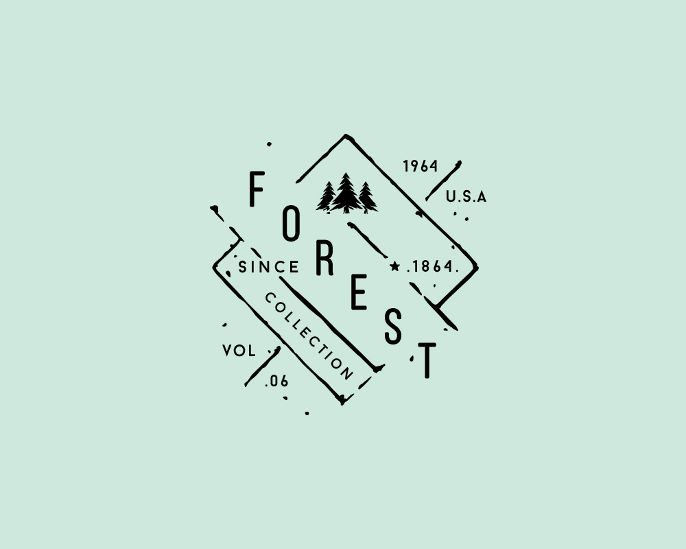 creative portfolio 3 1 1