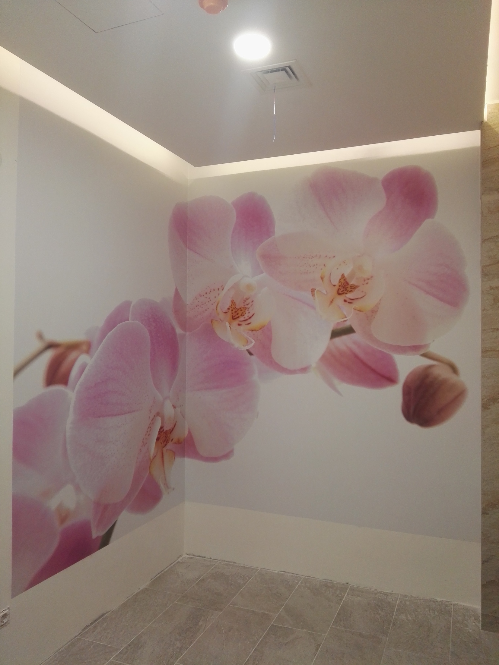 Zidna grafika Tapete Zidna grafika Tapete